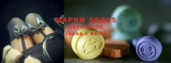 ПСИЛОЦИБИНОВЫЕ ГРИБЫ Краснослободск
